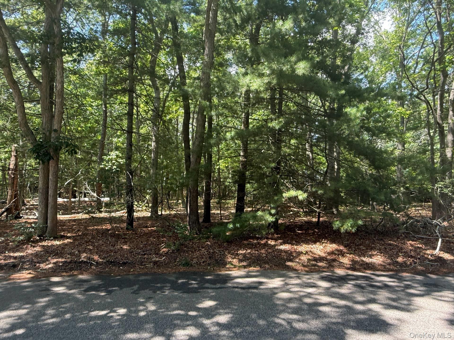 9 Two Rod Highway, Wainscott, NY 11975