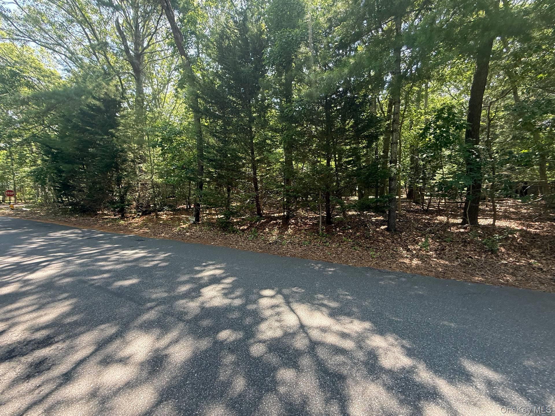 80 Westwood Road, Wainscott, NY 11975