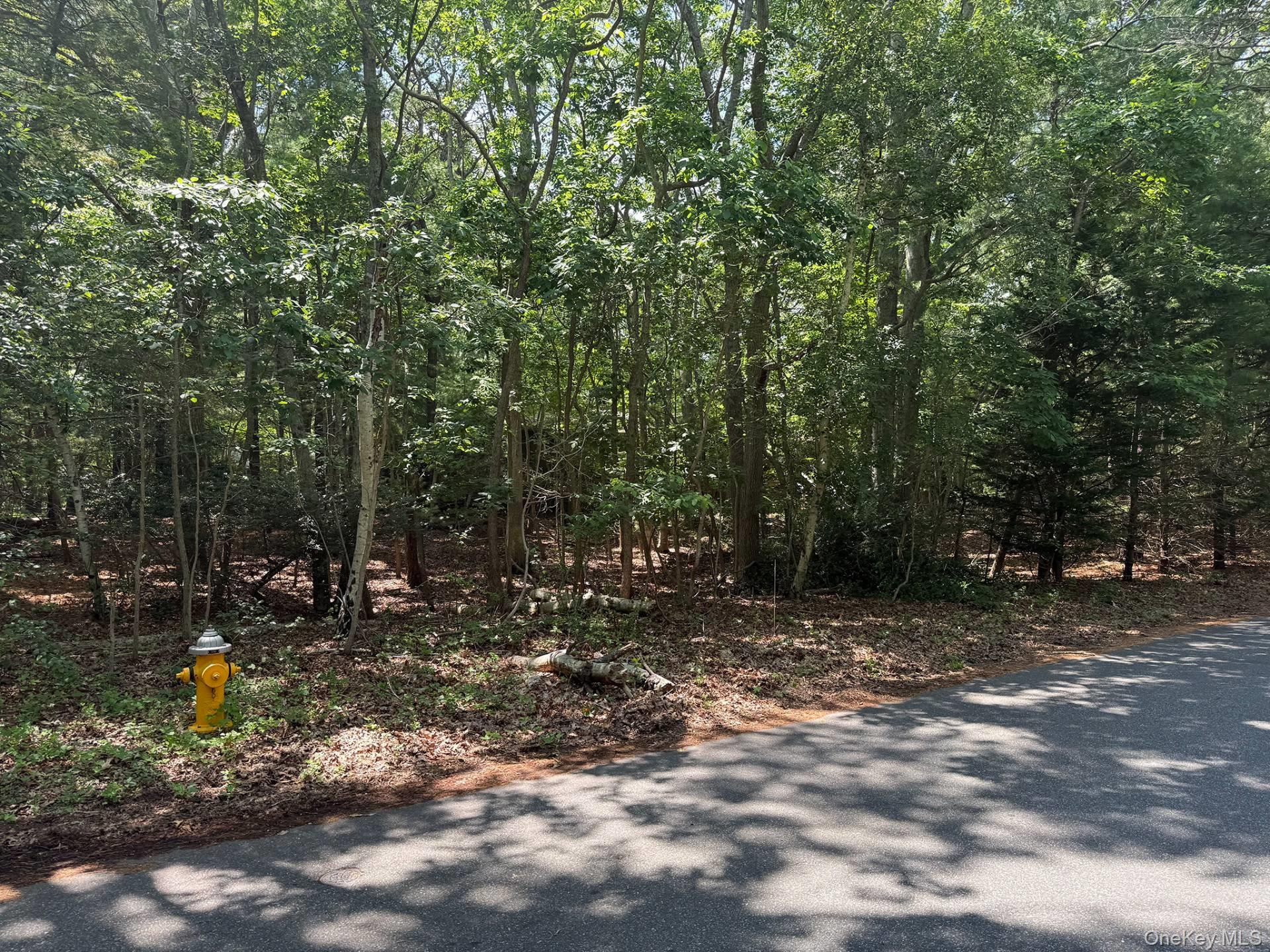 80 Westwood Road, Wainscott, NY 11975