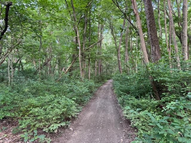 Manor Drive W & Arlene Road, Lagrangeville, NY