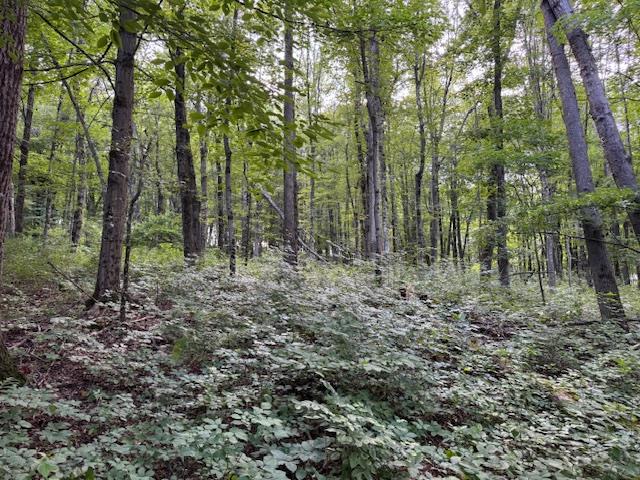 Manor Drive W & Arlene Road, Lagrangeville, NY