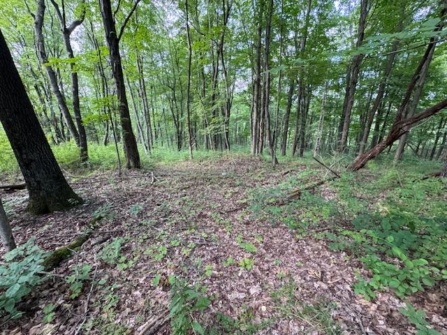 Manor Drive W & Arlene Road, Lagrangeville, NY