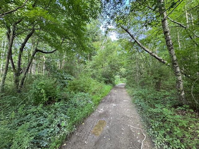 Manor Drive W & Arlene Road, Lagrangeville, NY