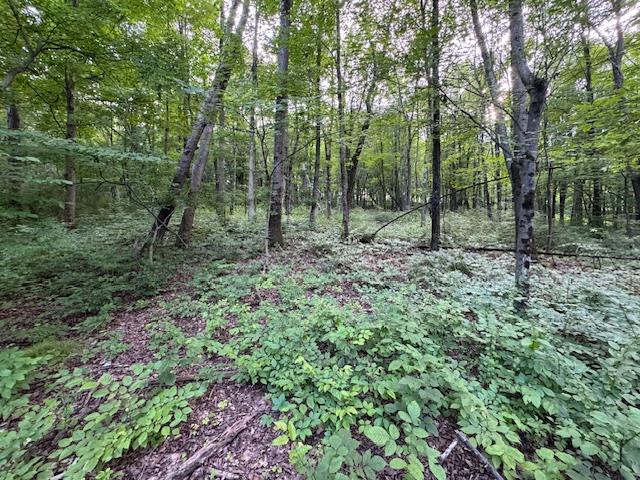 Manor Drive W & Arlene Road, Lagrangeville, NY