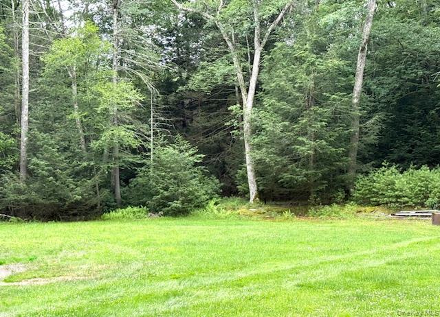 60 Collins Road, Eldred, NY 12732