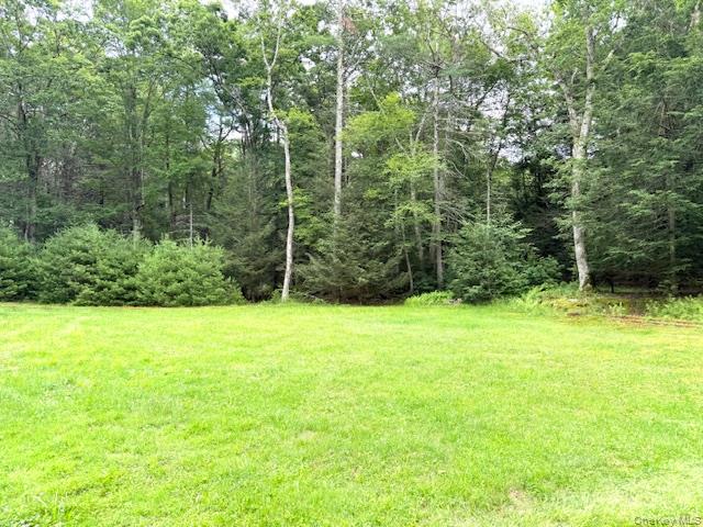 60 Collins Road, Eldred, NY 12732