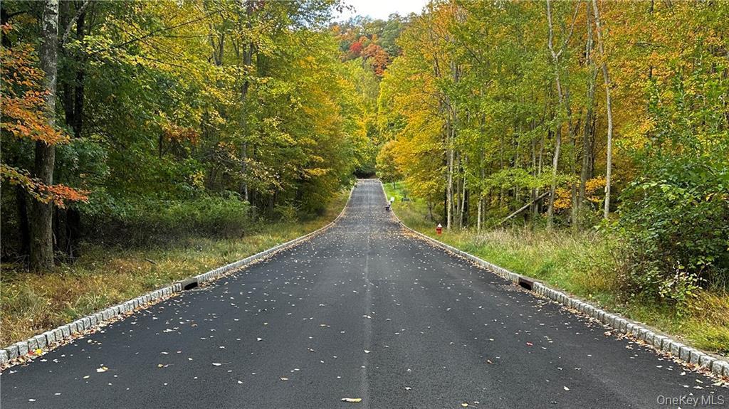 5 Badi Drive, Nyack, NY 10960