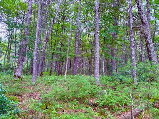 Lot 41 Leers Road, Glen Spey, NY 12737
