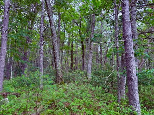 Lot 41 Leers Road, Glen Spey, NY 12737