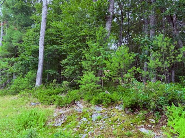 Lot 41 Leers Road, Glen Spey, NY 12737