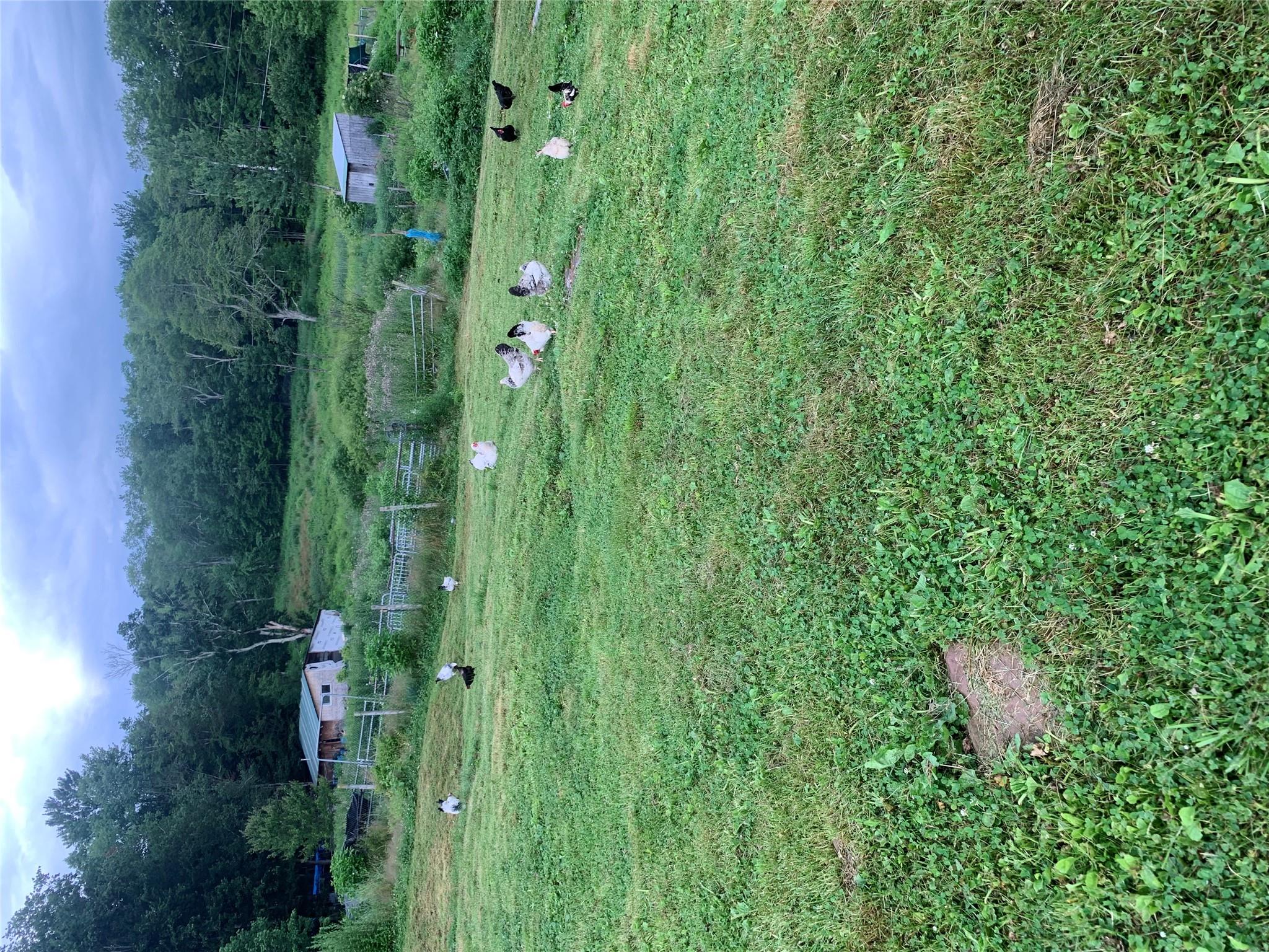 3 Burr Road, Cochecton, NY 12726