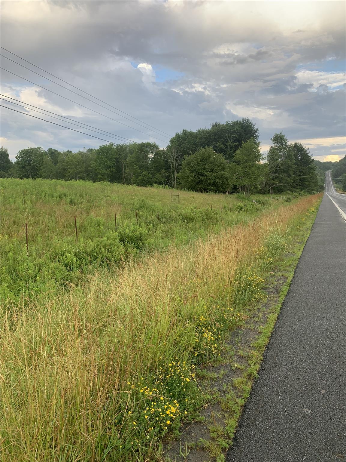 3 Burr Road, Cochecton, NY 12726