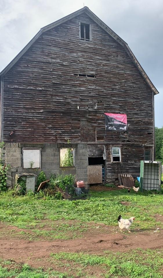 3 Burr Road, Cochecton, NY 12726