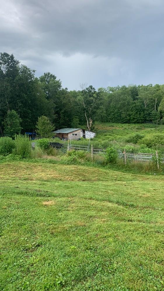 3 Burr Road, Cochecton, NY 12726