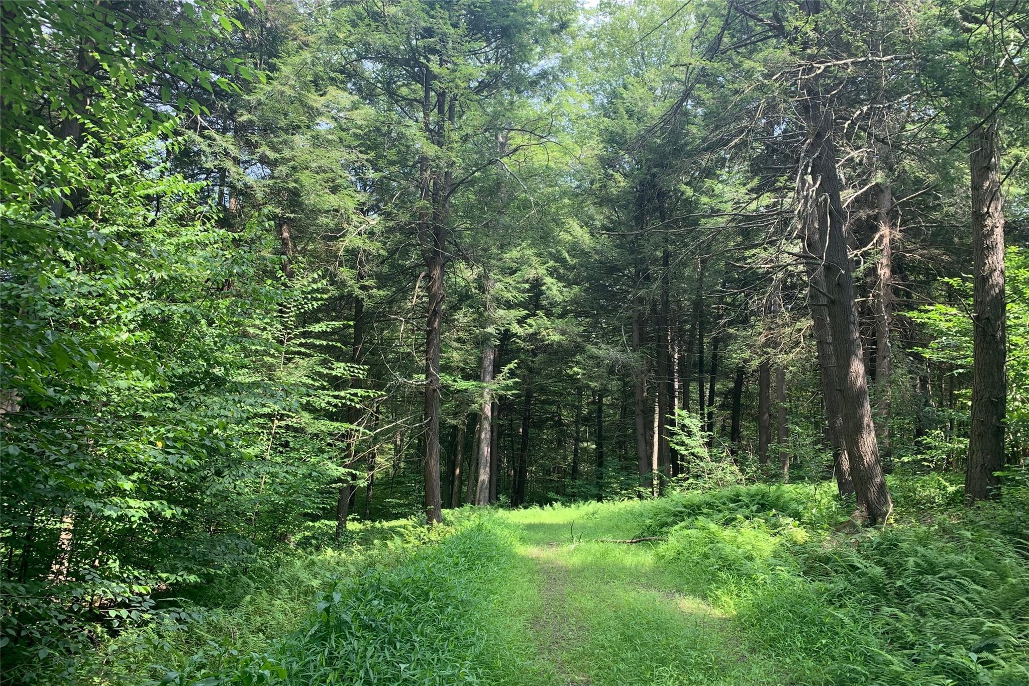Lot 13 Woodstone Trail, Bethel, NY 12720