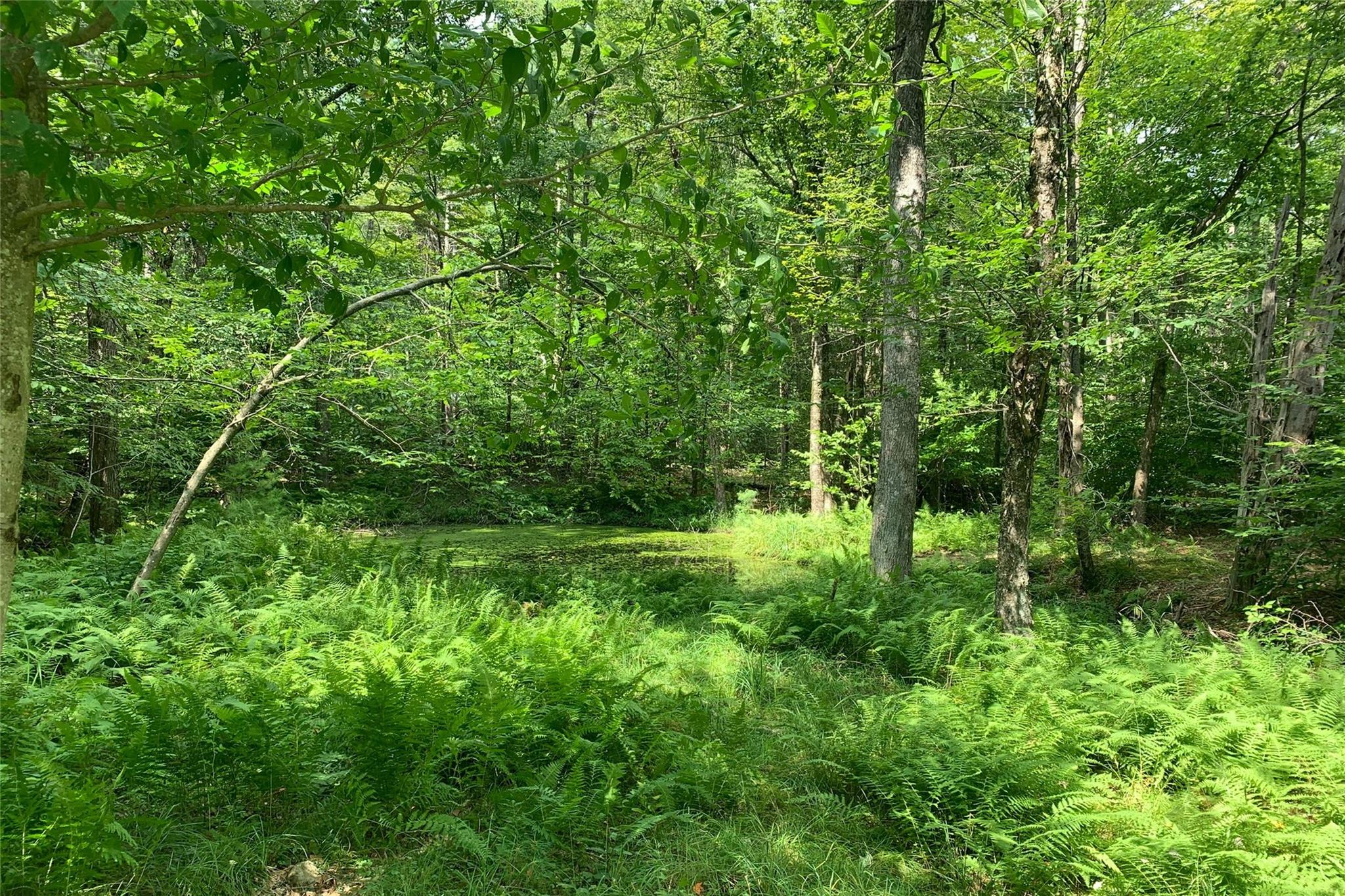 Lot 13 Woodstone Trail, Bethel, NY 12720