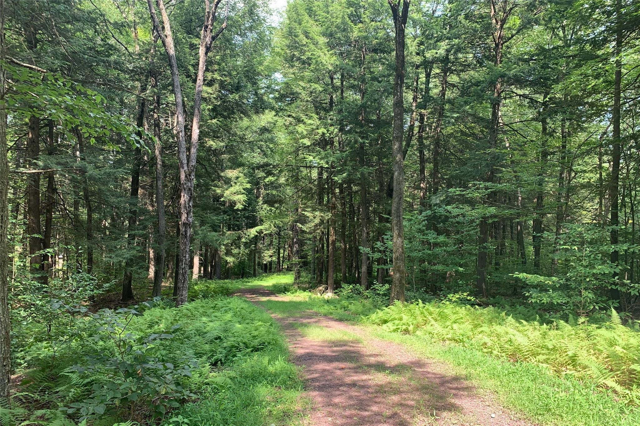 Lot 13 Woodstone Trail, Bethel, NY 12720