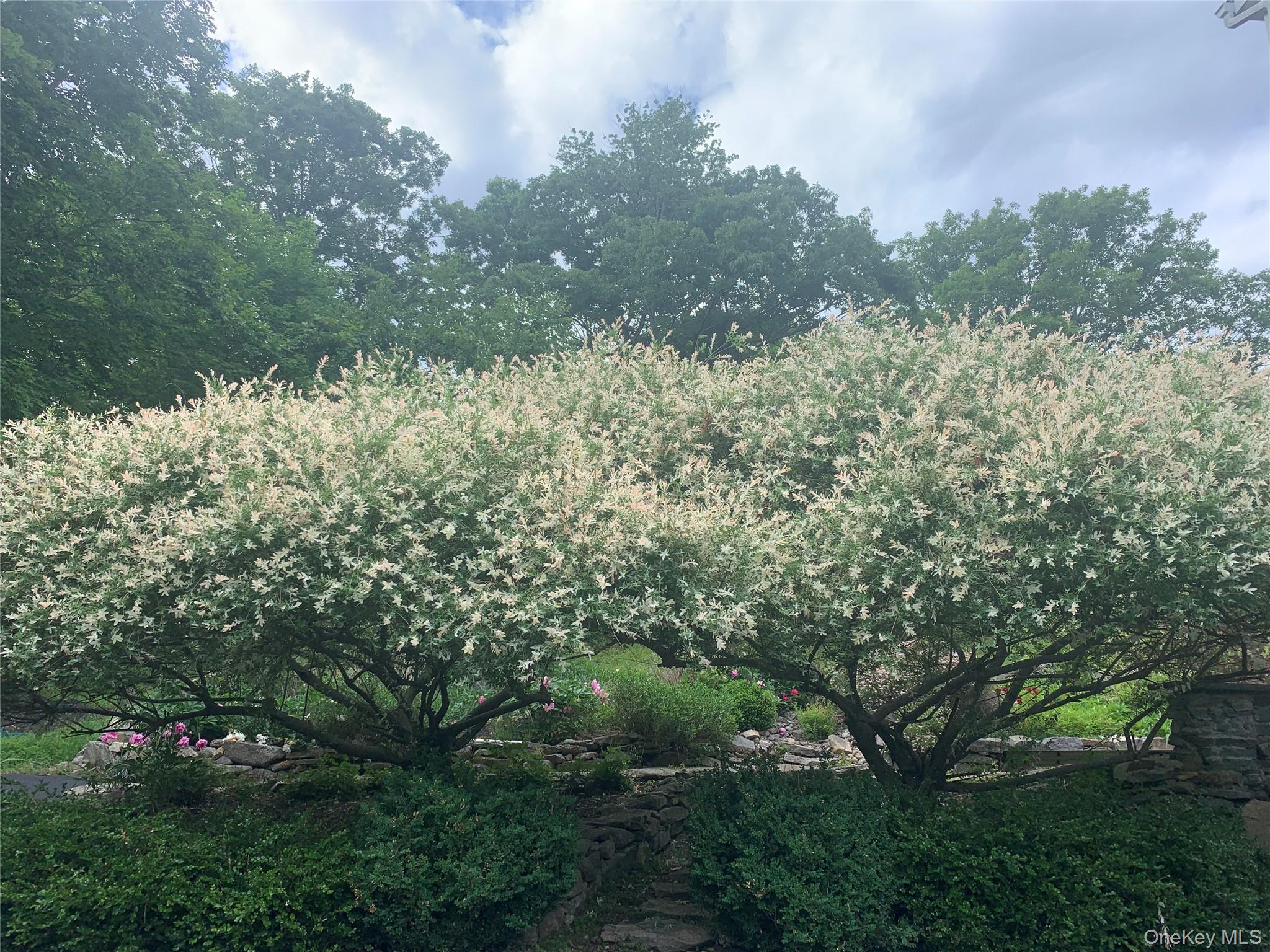 57 South White Rock, Holmes, NY 12531