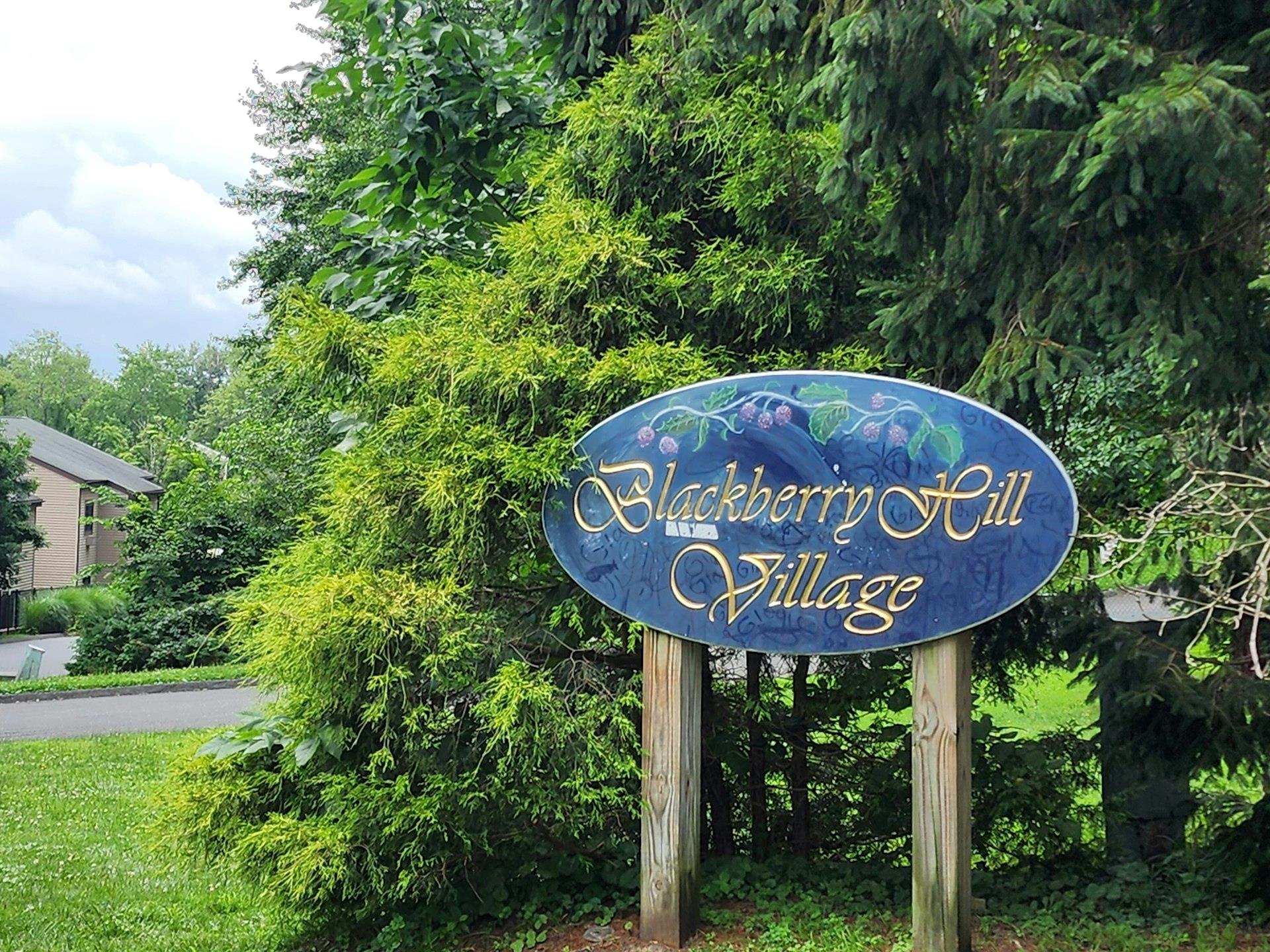 1203 Village Drive, Brewster, NY 10509