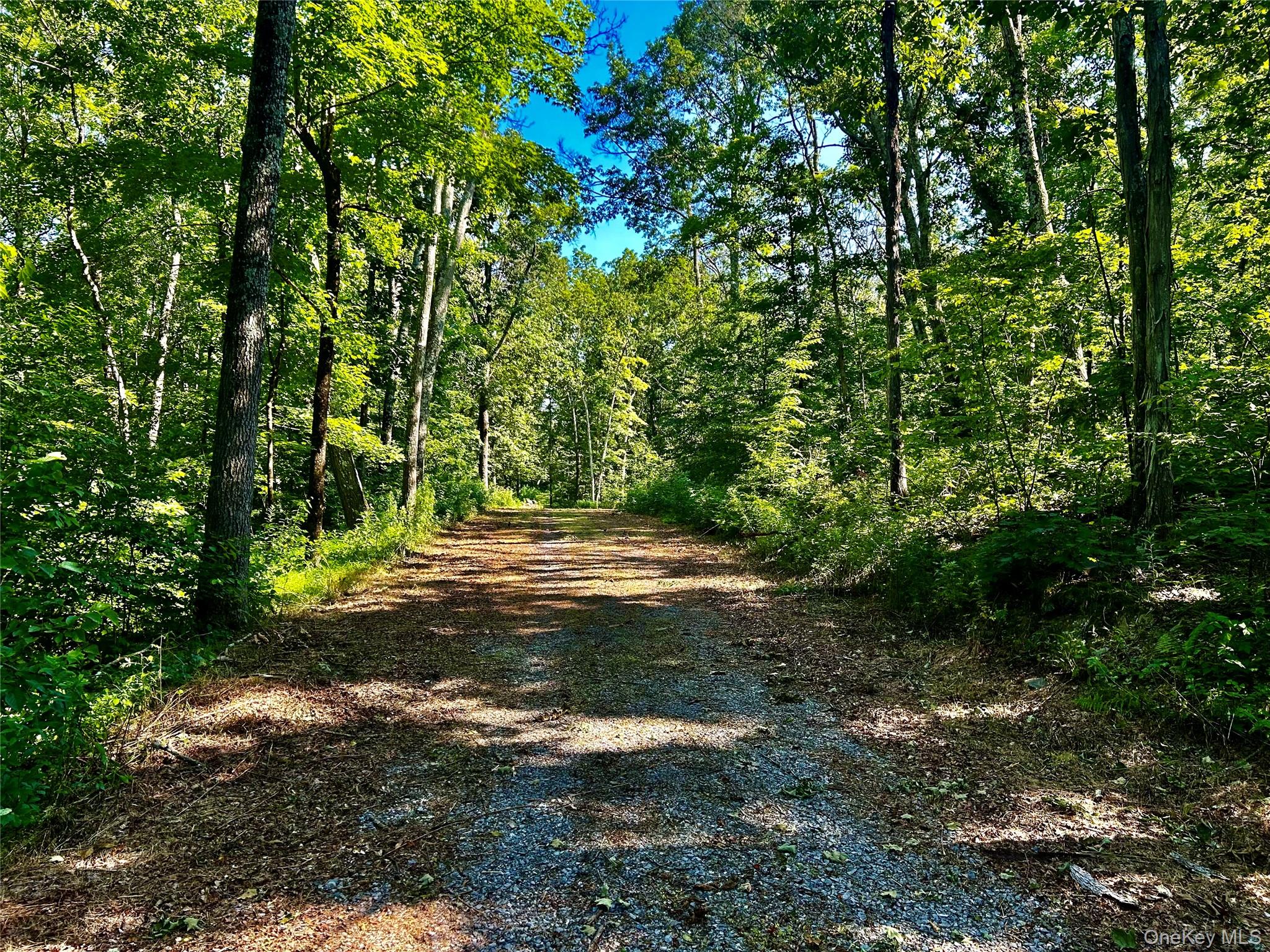 80 Forever Ivy Lane, Hyde Park, NY 12538