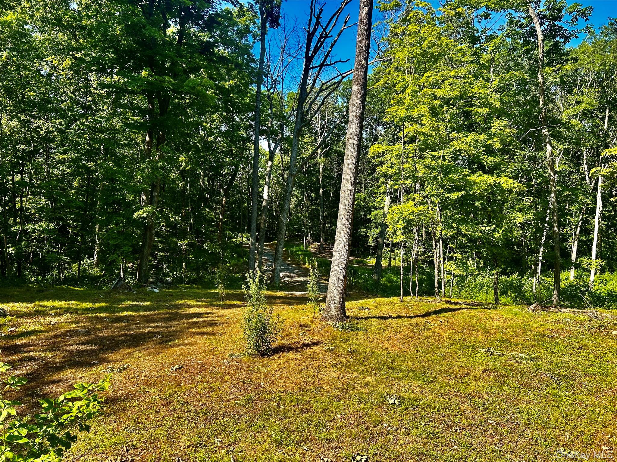 80 Forever Ivy Lane, Hyde Park, NY 12538