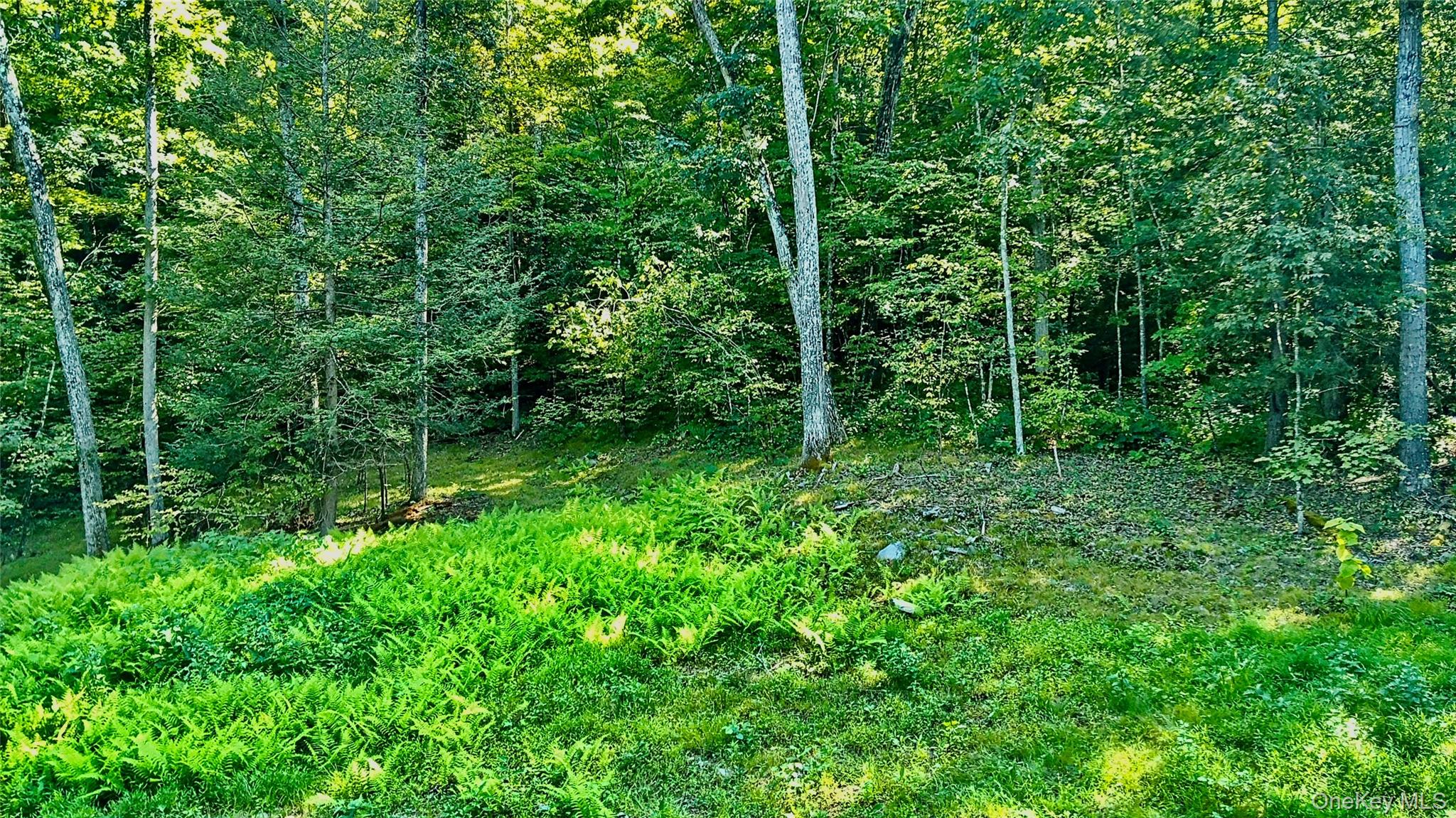 80 Forever Ivy Lane, Hyde Park, NY 12538