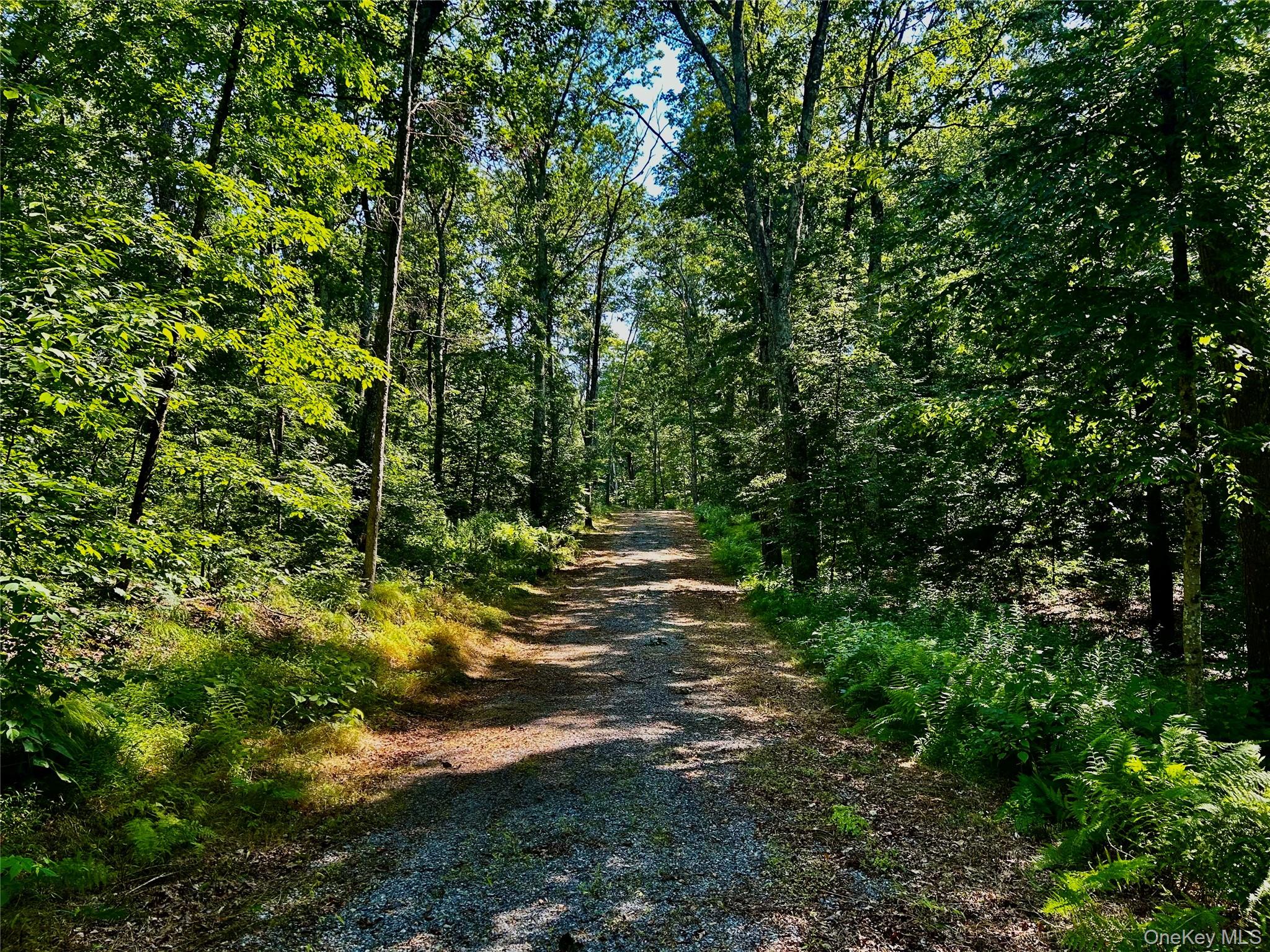 80 Forever Ivy Lane, Hyde Park, NY 12538