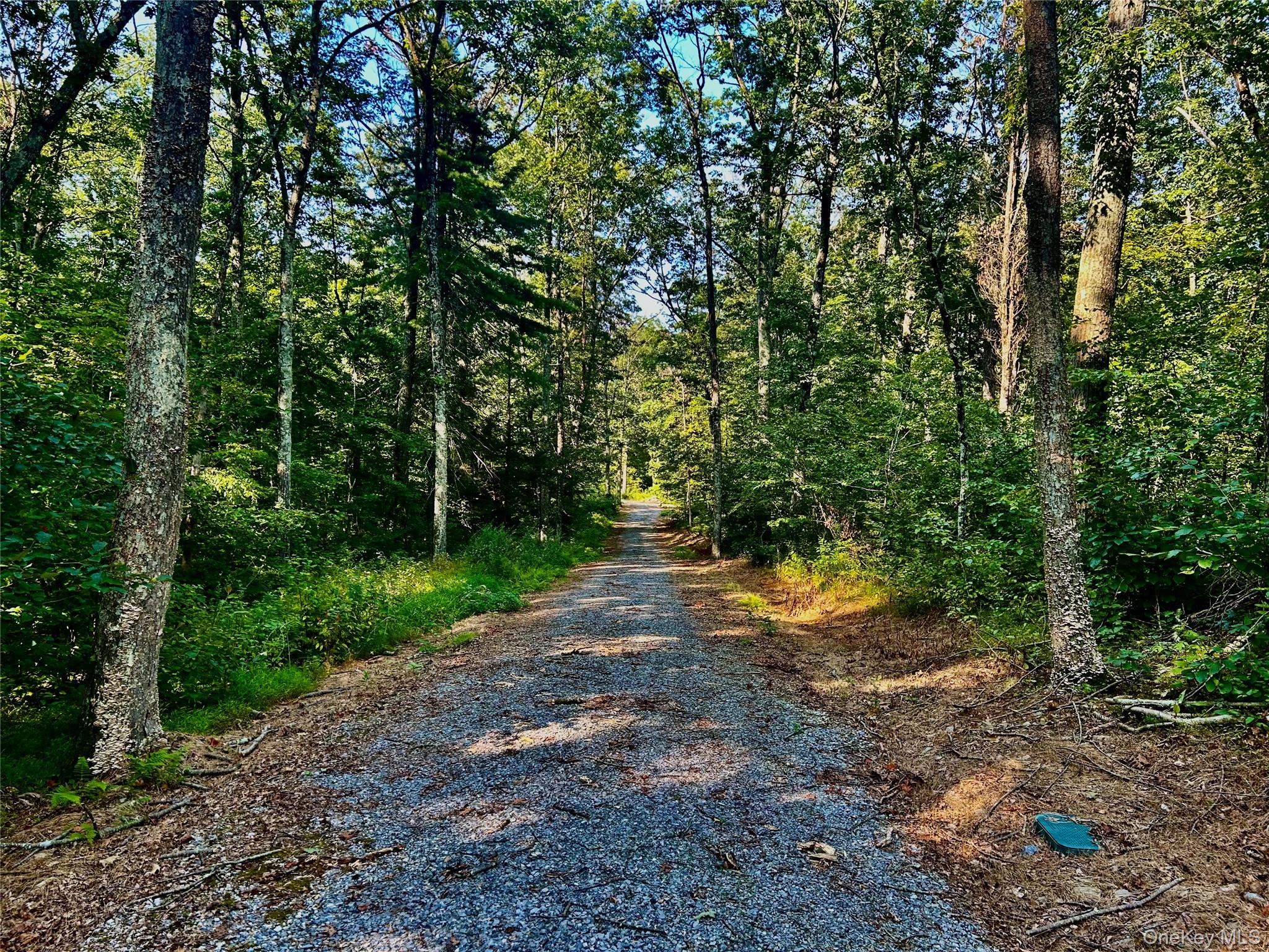 80 Forever Ivy Lane, Hyde Park, NY 12538