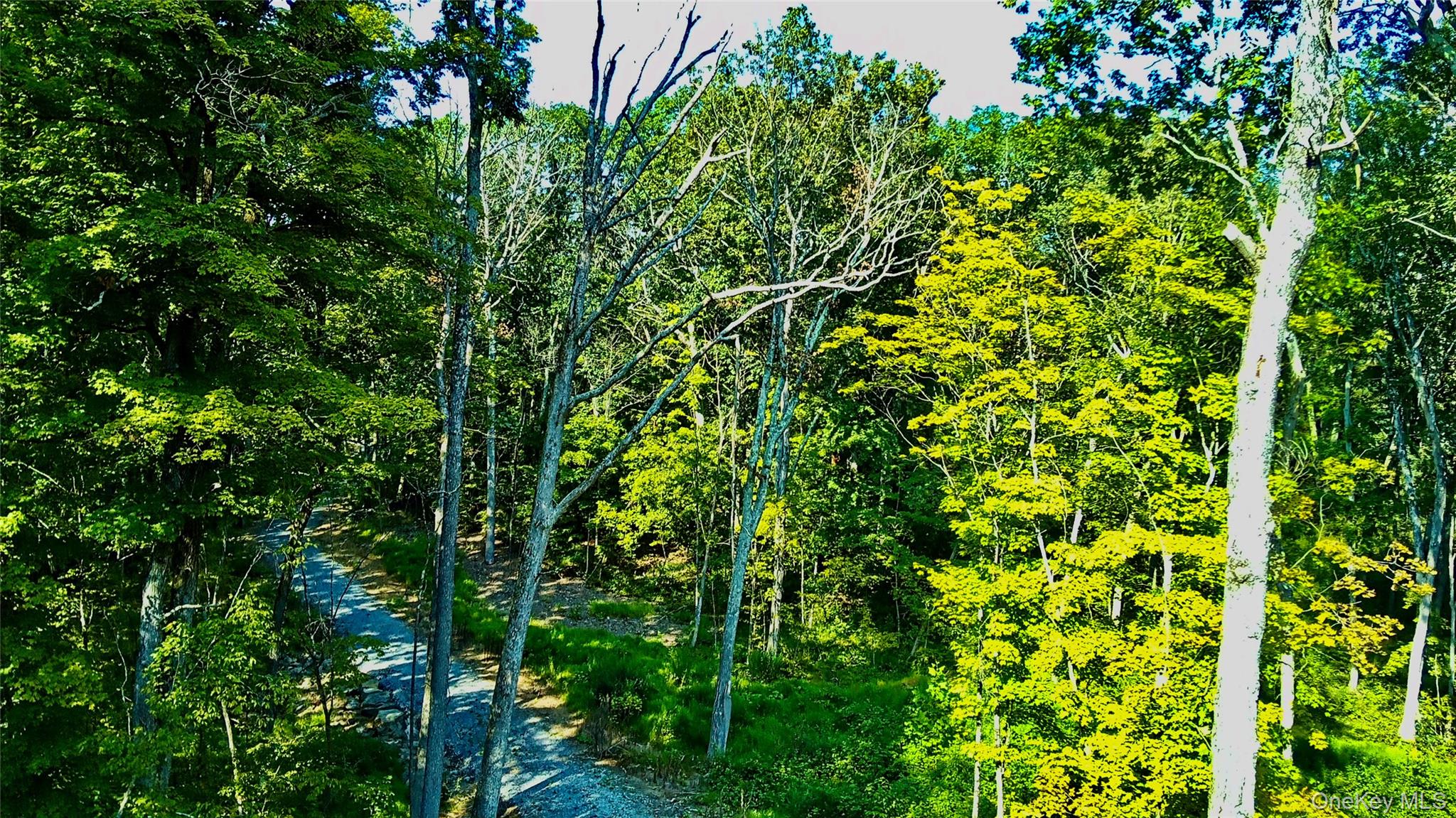 80 Forever Ivy Lane, Hyde Park, NY 12538