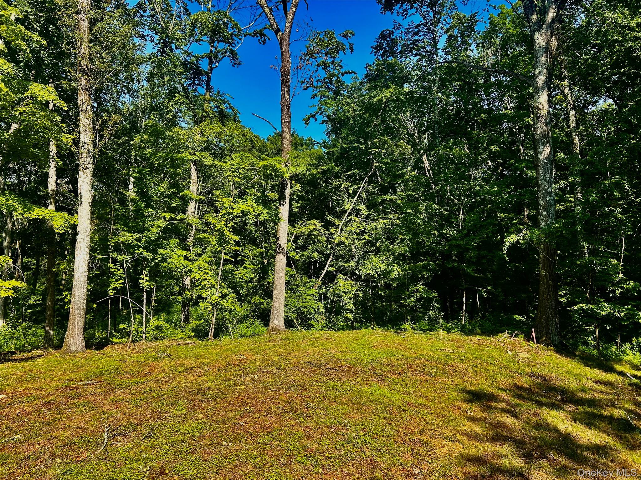 80 Forever Ivy Lane, Hyde Park, NY 12538