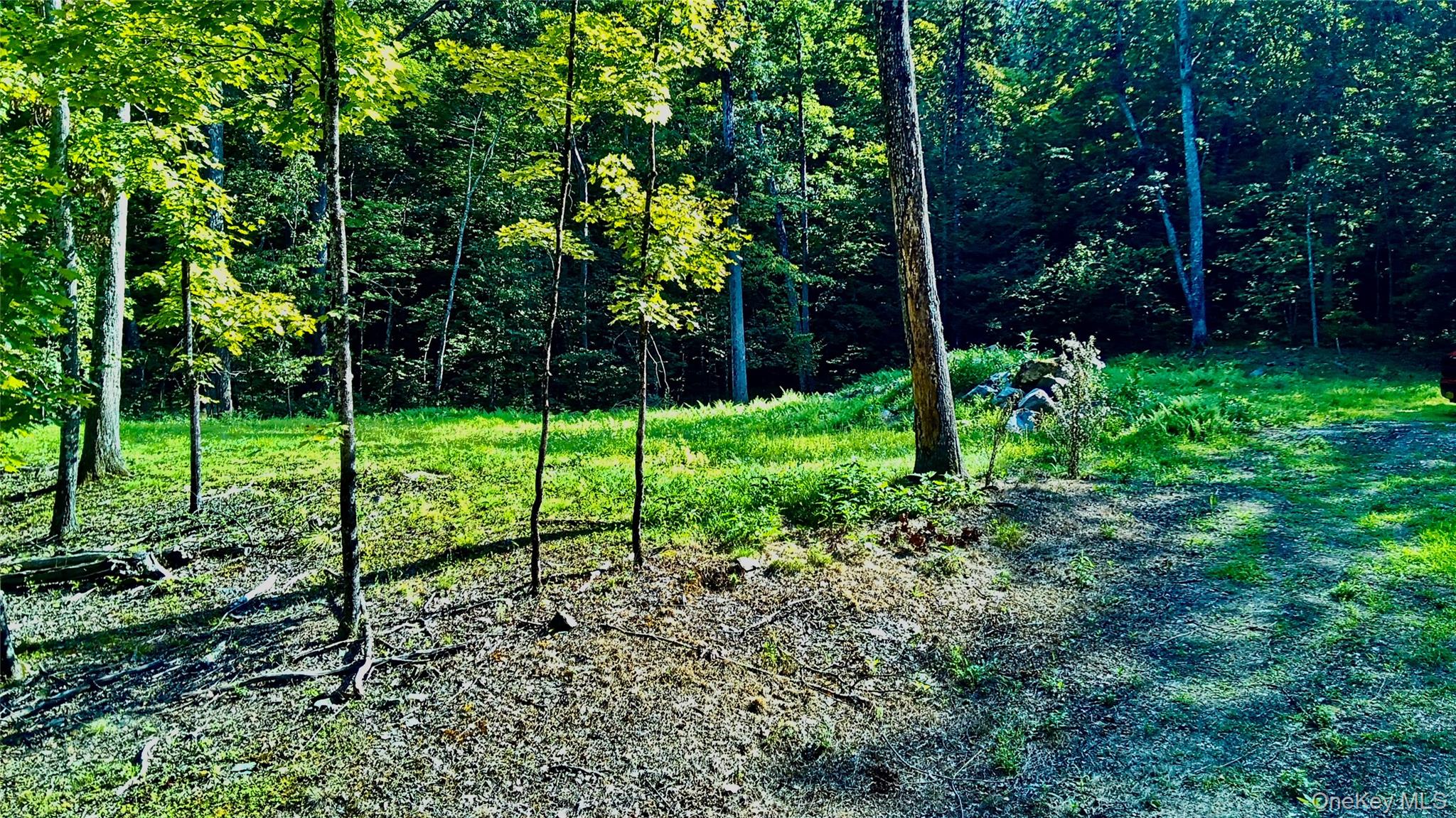 80 Forever Ivy Lane, Hyde Park, NY 12538