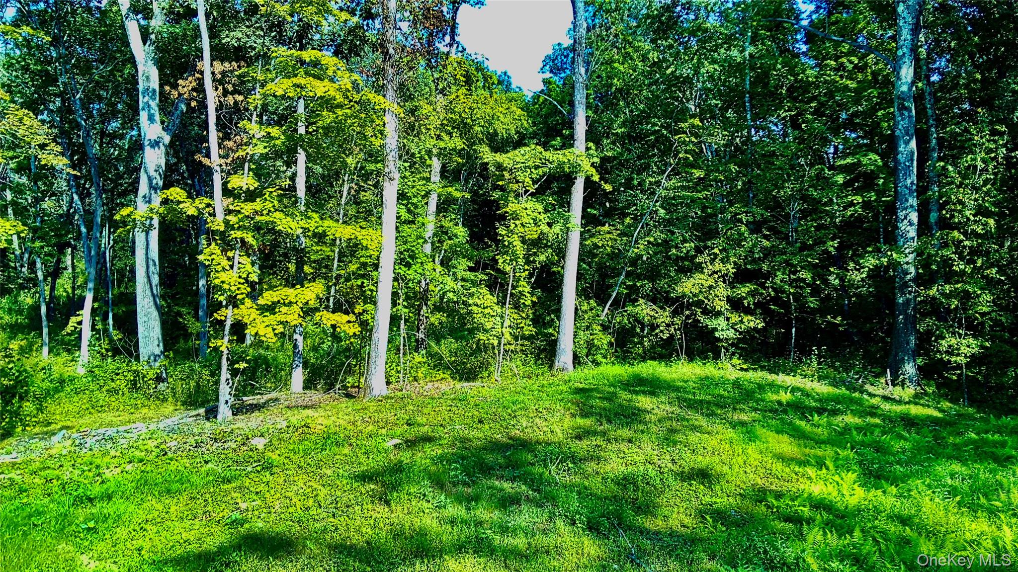 80 Forever Ivy Lane, Hyde Park, NY 12538