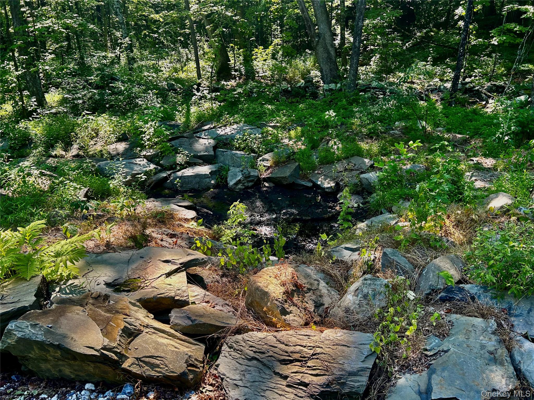 80 Forever Ivy Lane, Hyde Park, NY 12538