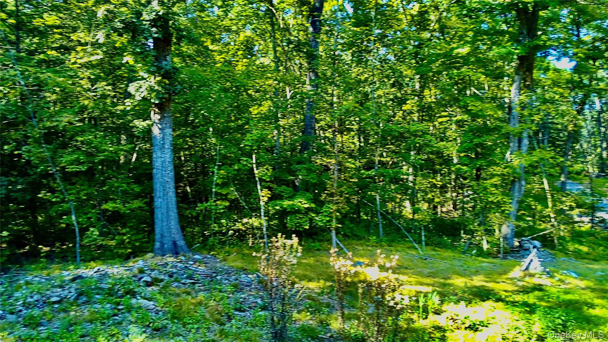 80 Forever Ivy Lane, Hyde Park, NY 12538