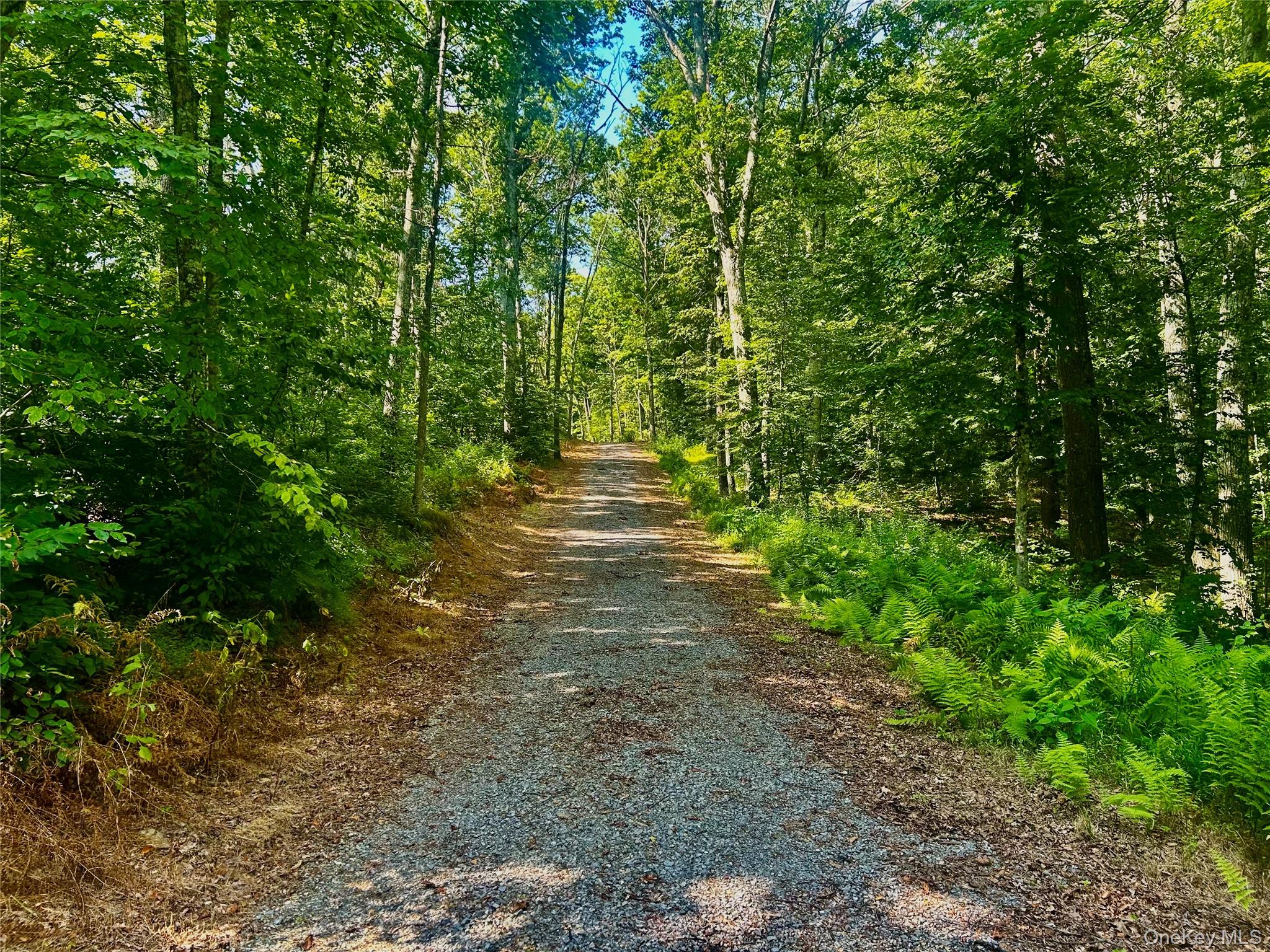 80 Forever Ivy Lane, Hyde Park, NY 12538