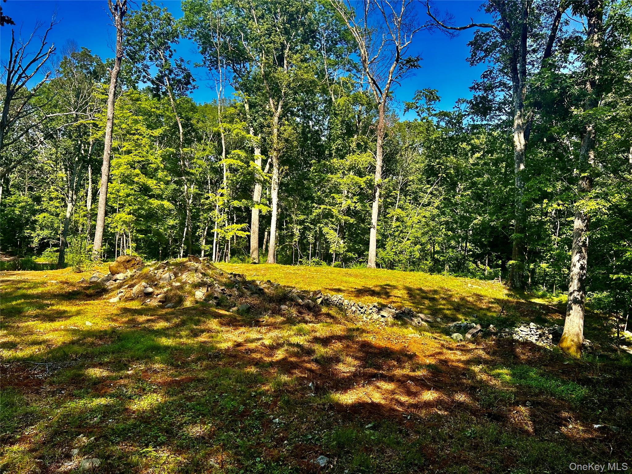 80 Forever Ivy Lane, Hyde Park, NY 12538