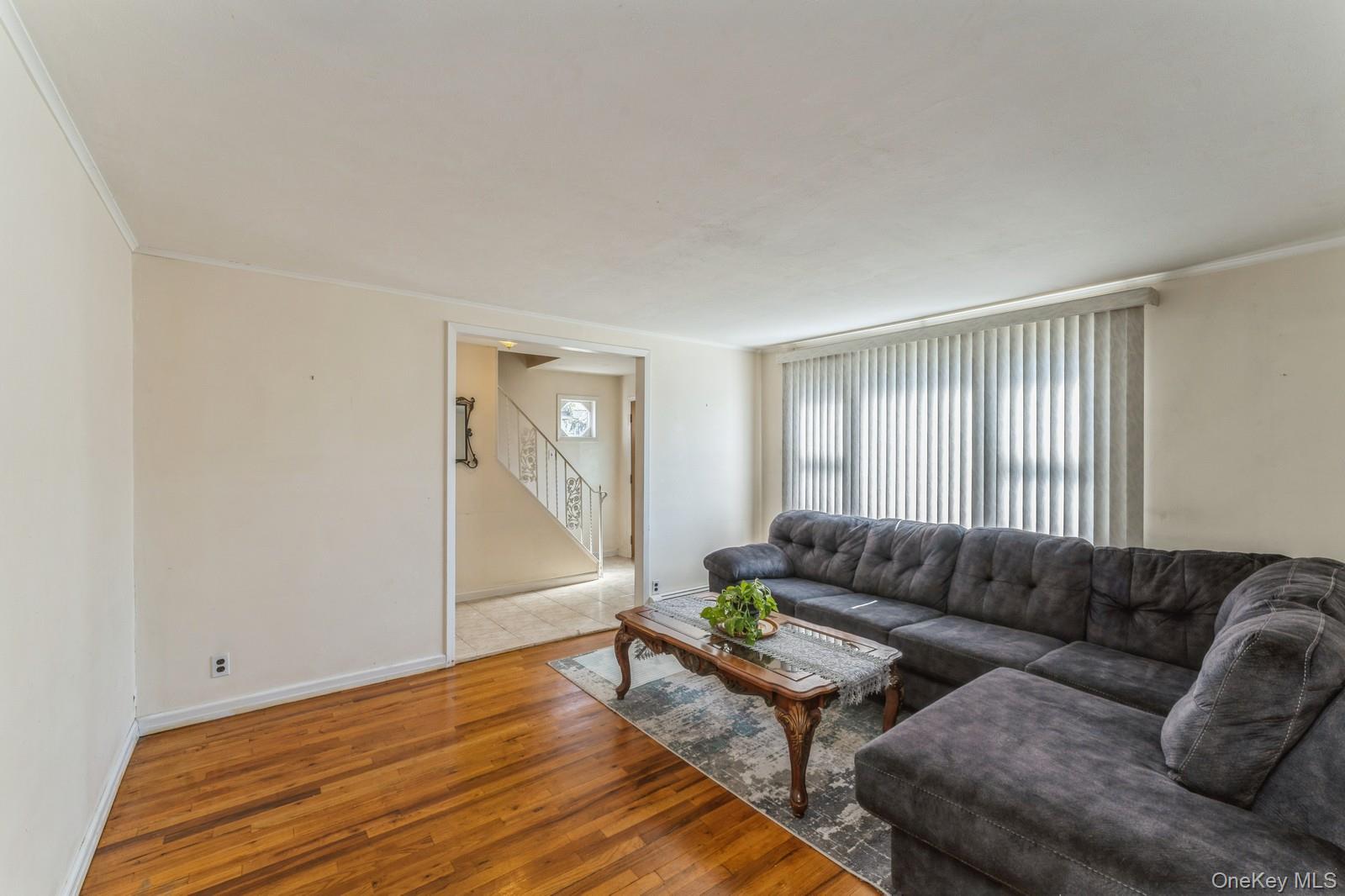 220 Elzey Ave., Elmont, NY 11003