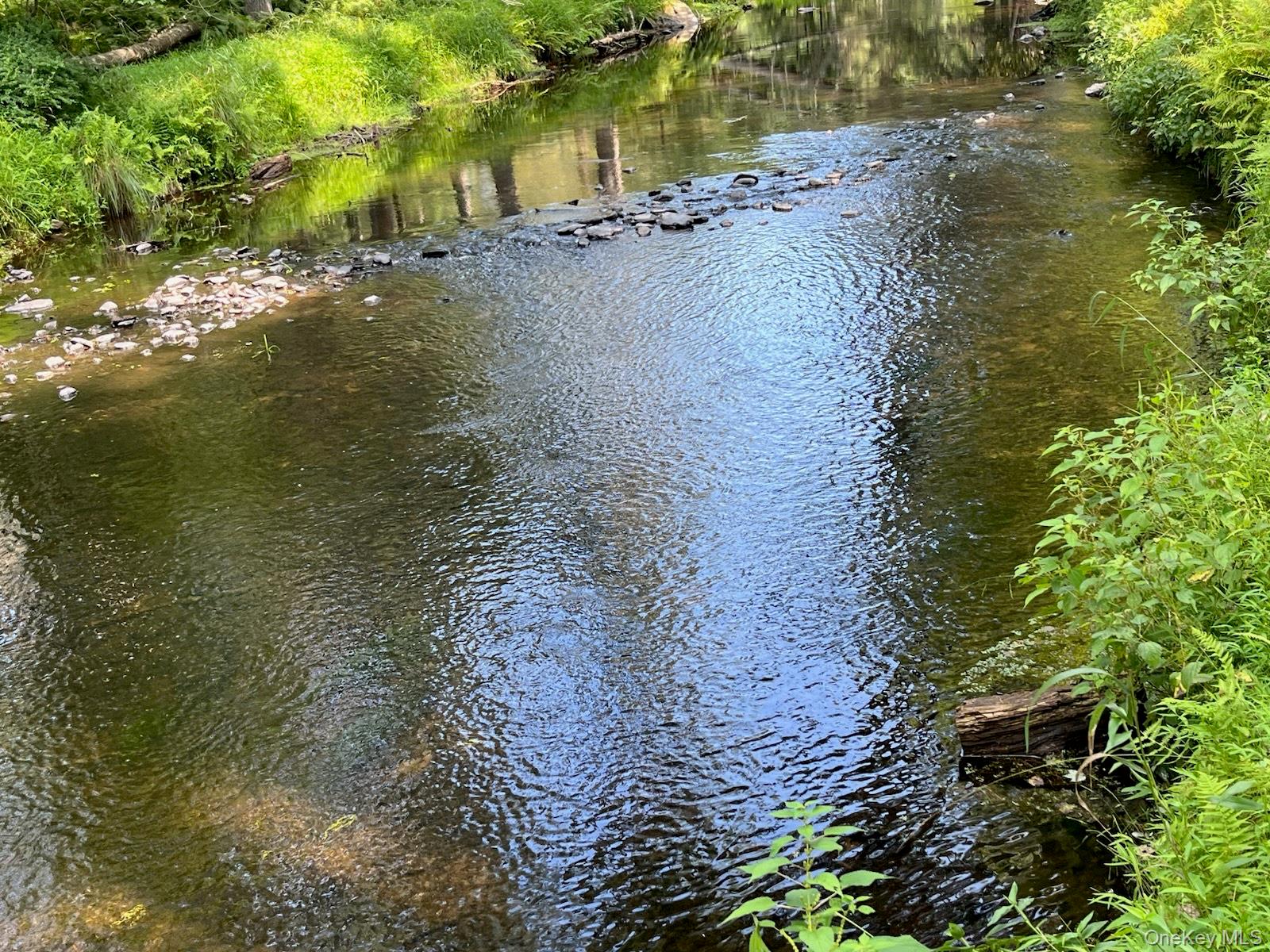 30 Park Road Extension, Eldred, NY 12792