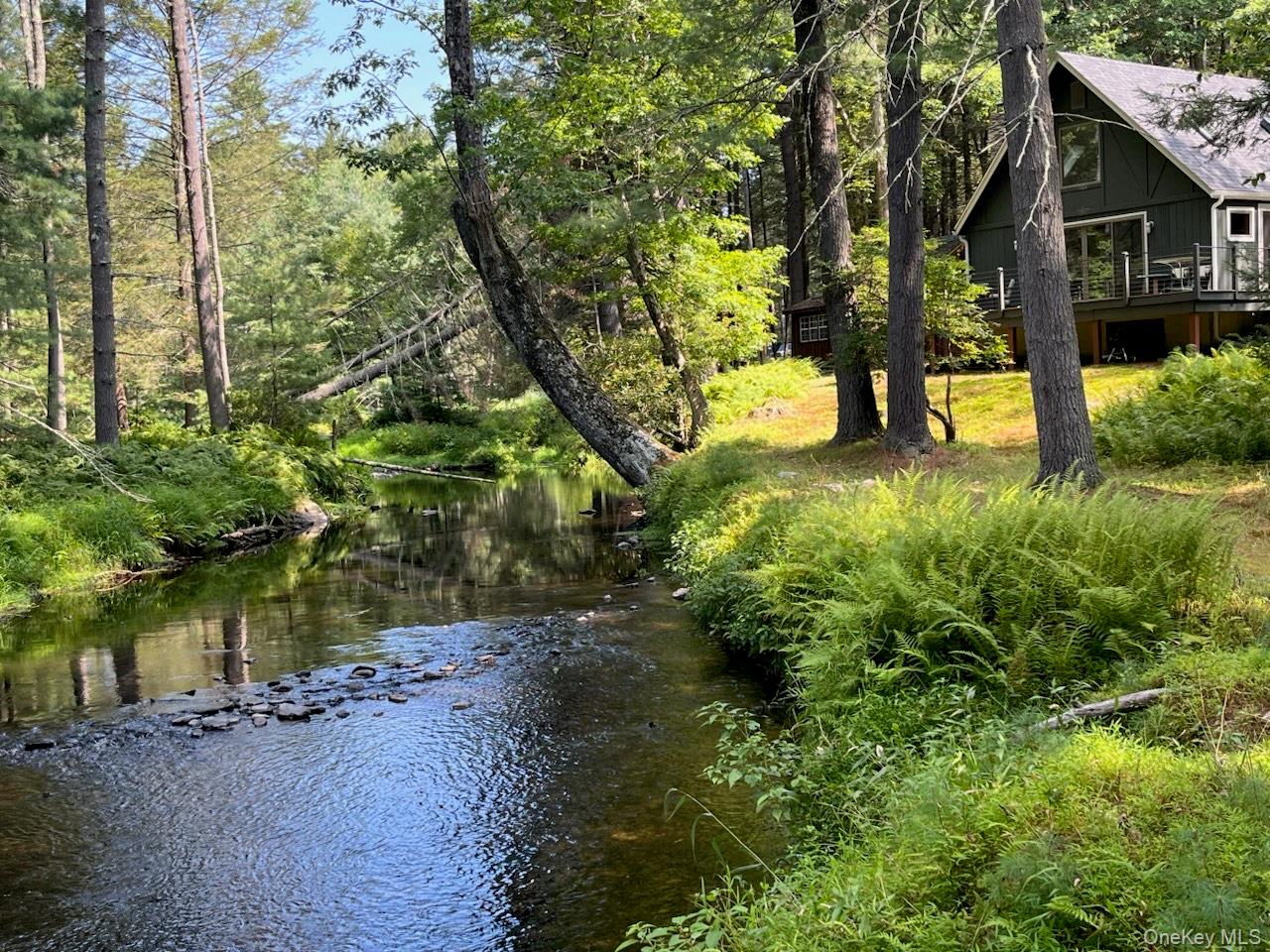 30 Park Road Extension, Eldred, NY 12792