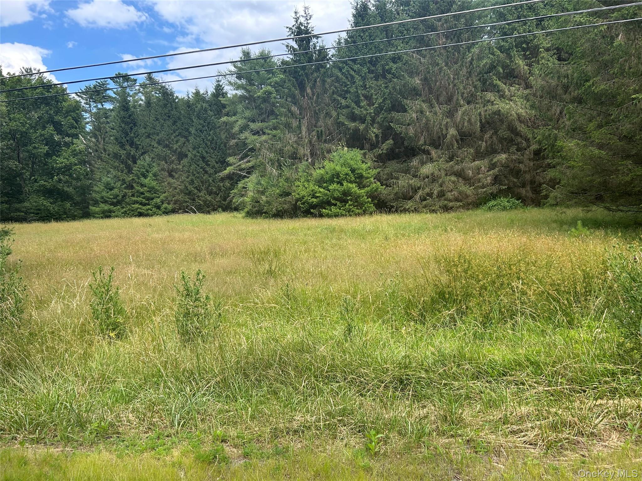 27 Woods Road, Yulan, NY 12792