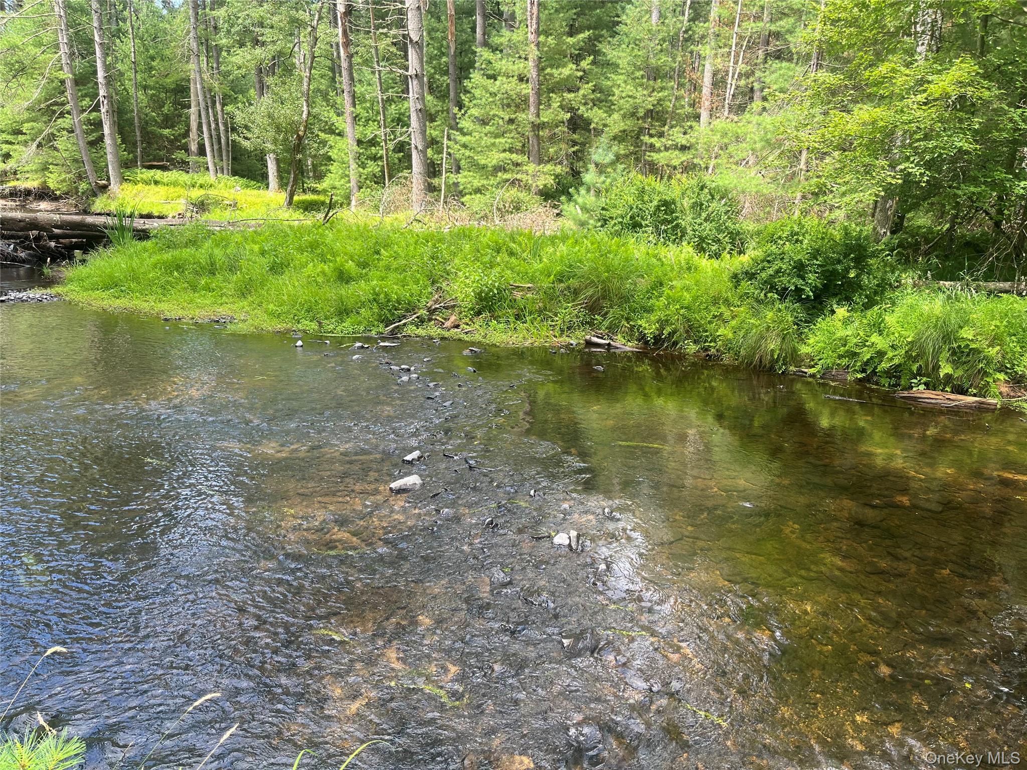 27 Woods Road, Yulan, NY 12792