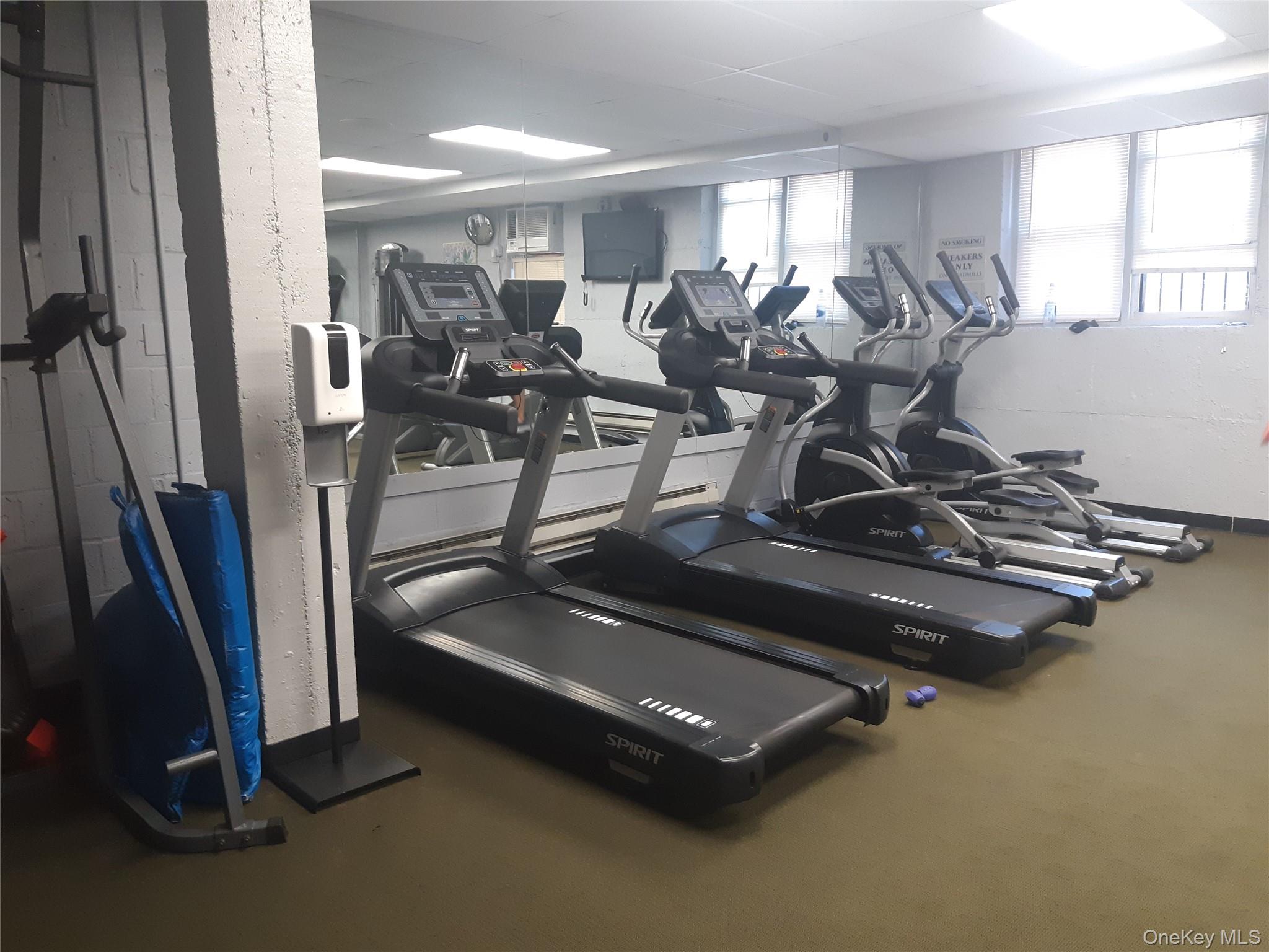 54-40 Little Neck Parkway # 4M, Little Neck, NY 11362