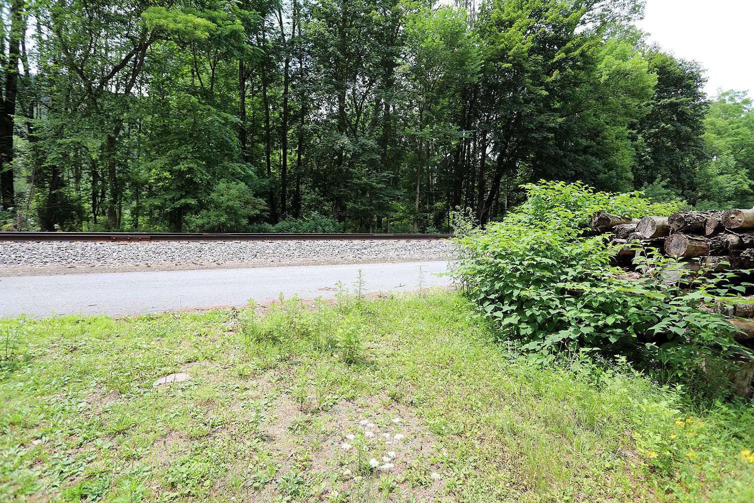 Railroad Avenue, Long Eddy, NY