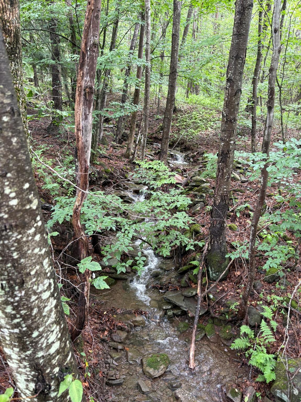 1460 Old Route 17, Roscoe, NY 12776