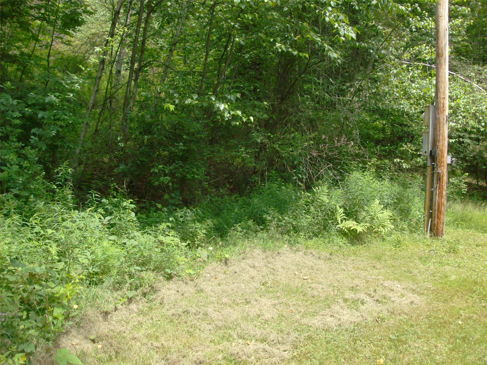 1460 Old Route 17, Roscoe, NY 12776