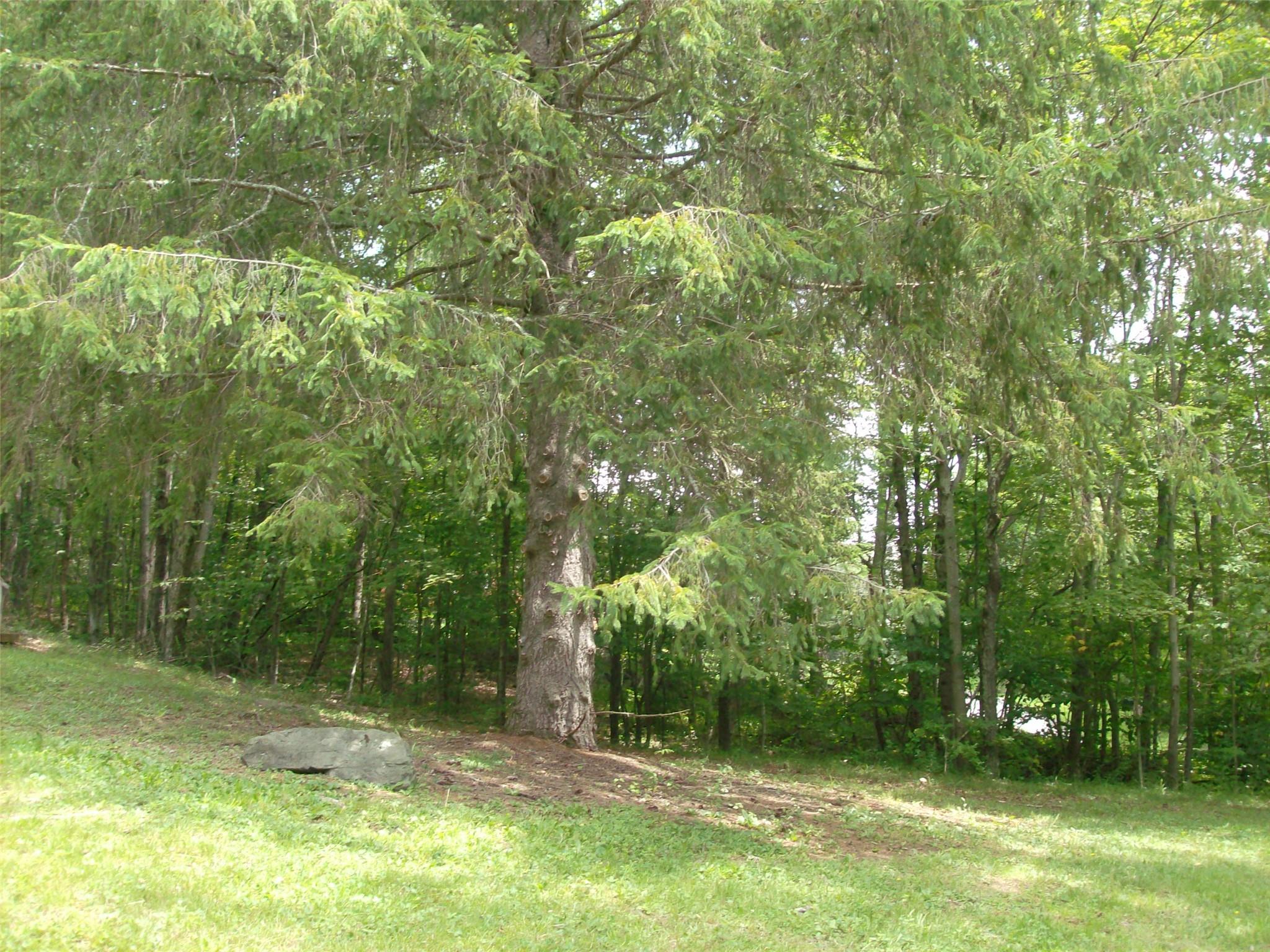 1460 Old Route 17, Roscoe, NY 12776