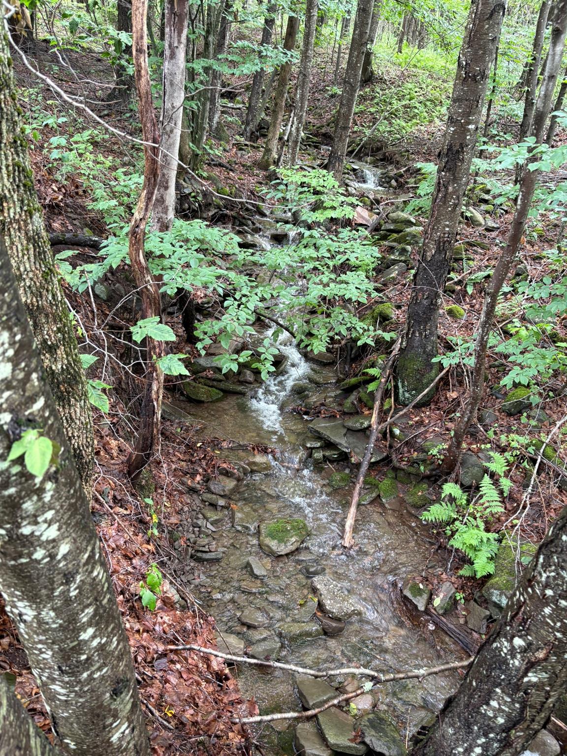 1460 Old Route 17, Roscoe, NY 12776