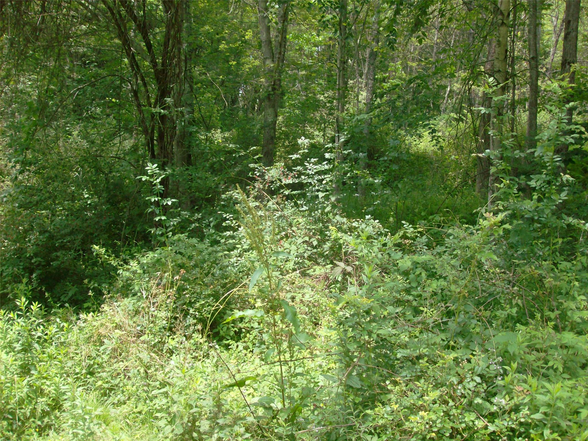 1460 Old Route 17, Roscoe, NY 12776