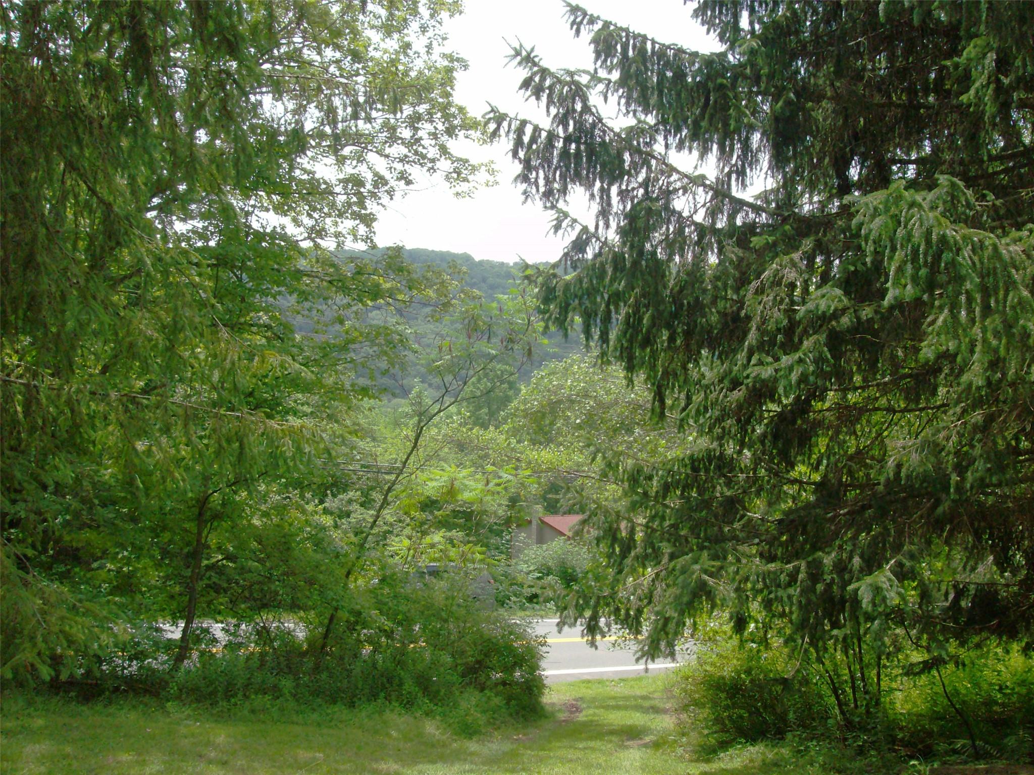 1460 Old Route 17, Roscoe, NY 12776