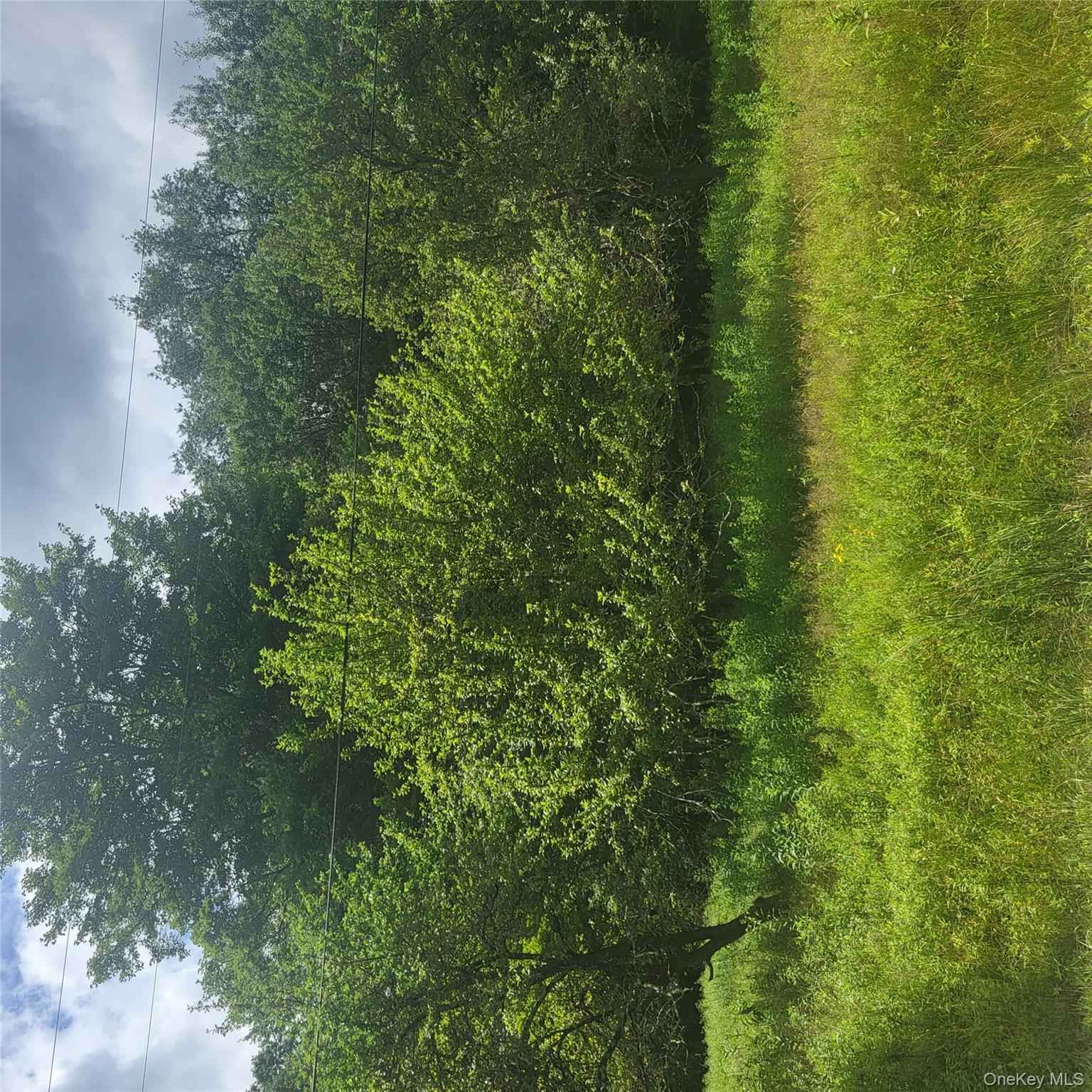 ** Creamery Road, Mongaup Valley, NY 12720